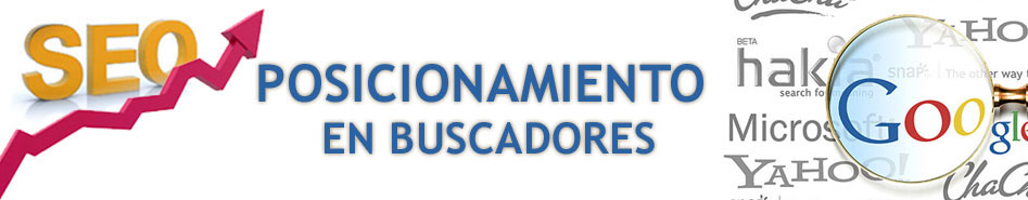 Posicionamiento Web villaviciosa-de-odon