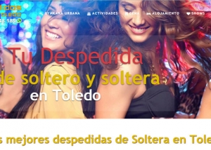despedidasdesolteratoledo.es