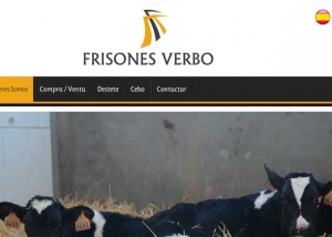frisones-verbo